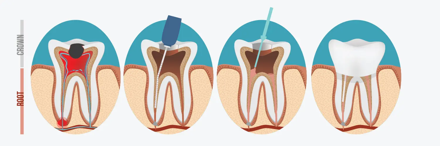 Banner Image - Contact Your Dentist in Whitby